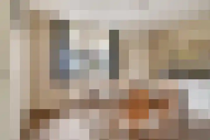Heitrak 40 Liessel thumbnail 9