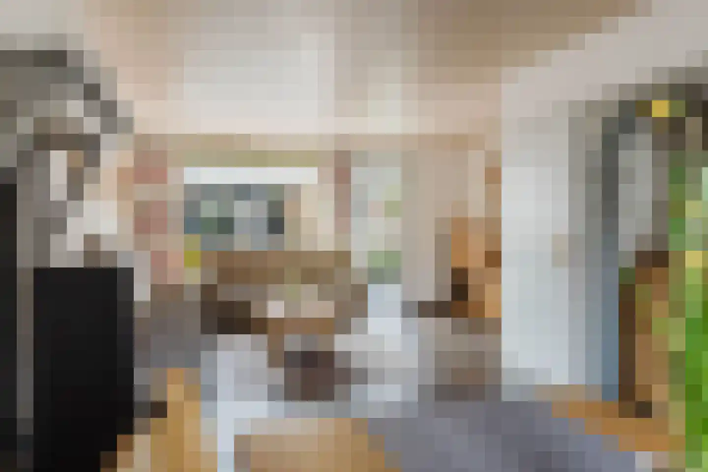 Heiveld 15 Rijsbergen thumbnail 17