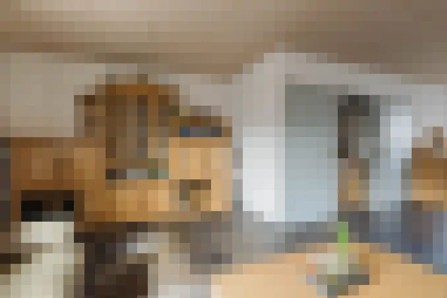 Heiveld 15 Rijsbergen thumbnail 18