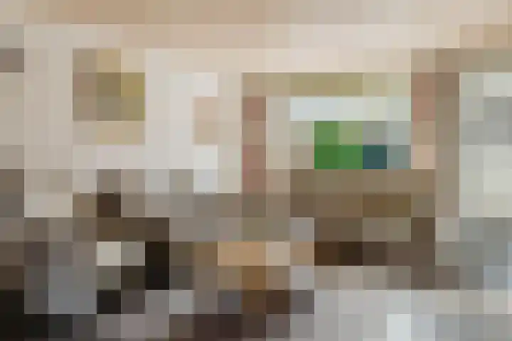 Heiveld 15 Rijsbergen thumbnail 19