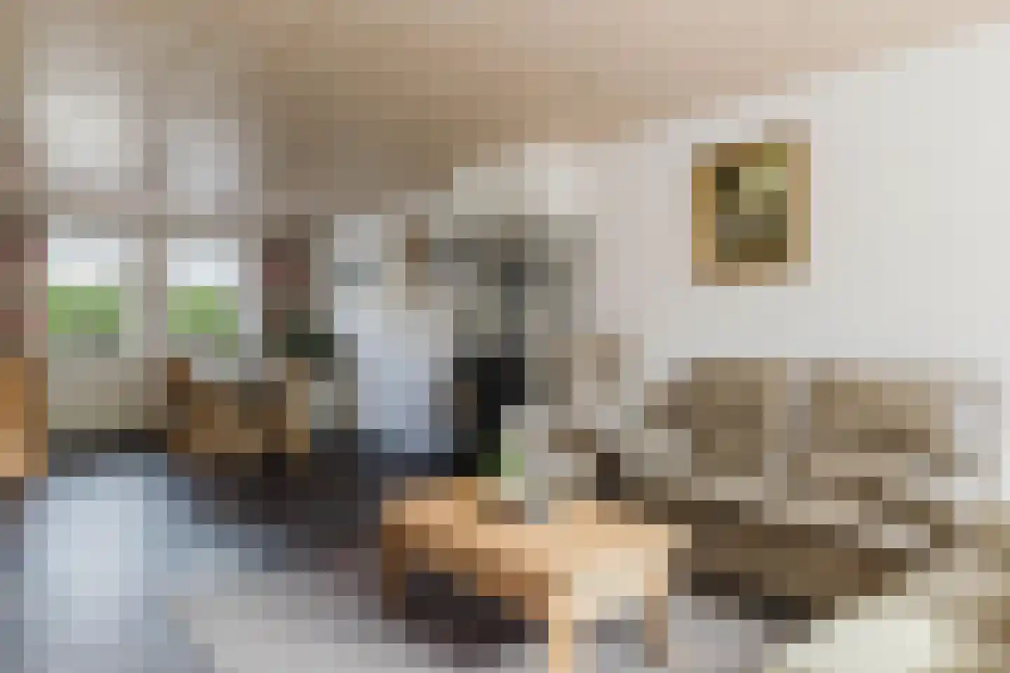 Heiveld 15 Rijsbergen thumbnail 20