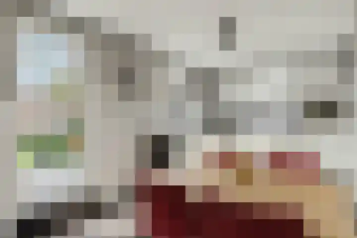 Heiveld 15 Rijsbergen thumbnail 23