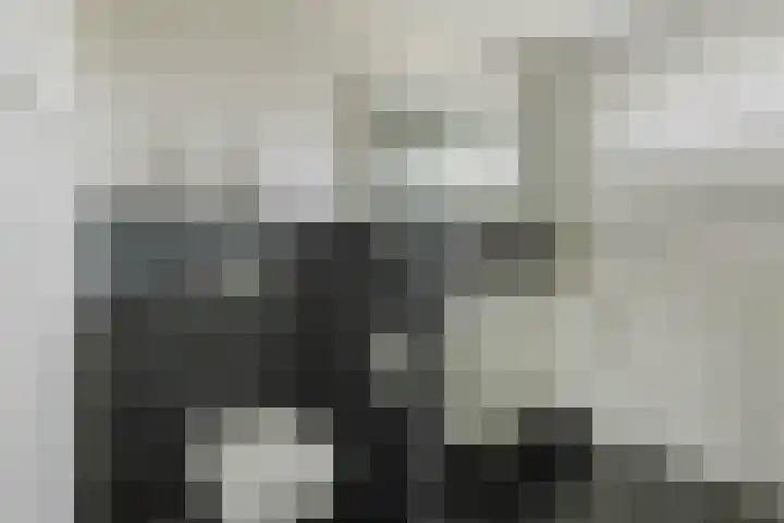 Heiveld 15 Rijsbergen thumbnail 28