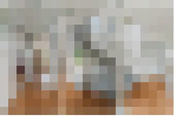 Heiveld 15 Rijsbergen thumbnail 32