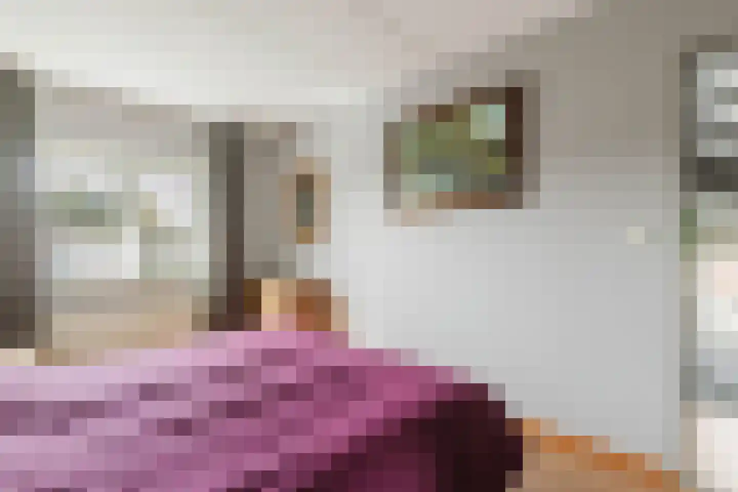 Heiveld 15 Rijsbergen thumbnail 36