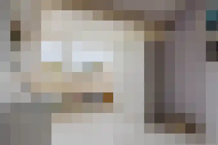 Heiveld 15 Rijsbergen thumbnail 42