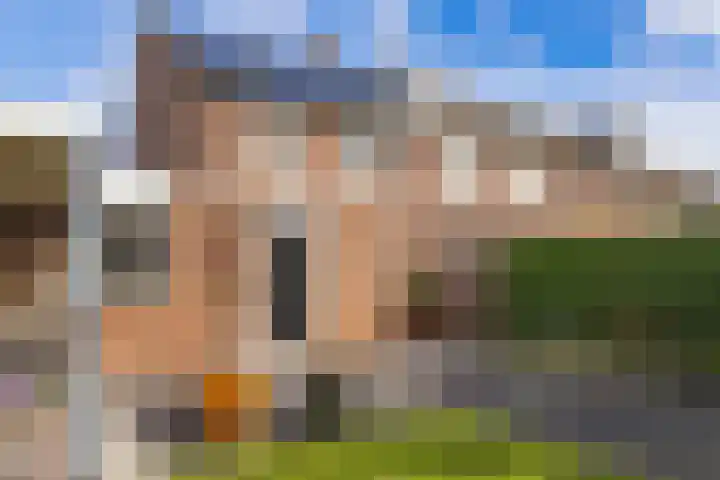 Heiveld 15 Rijsbergen thumbnail 44
