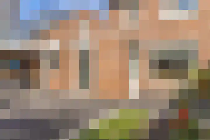 Heiveld 15 Rijsbergen thumbnail 46