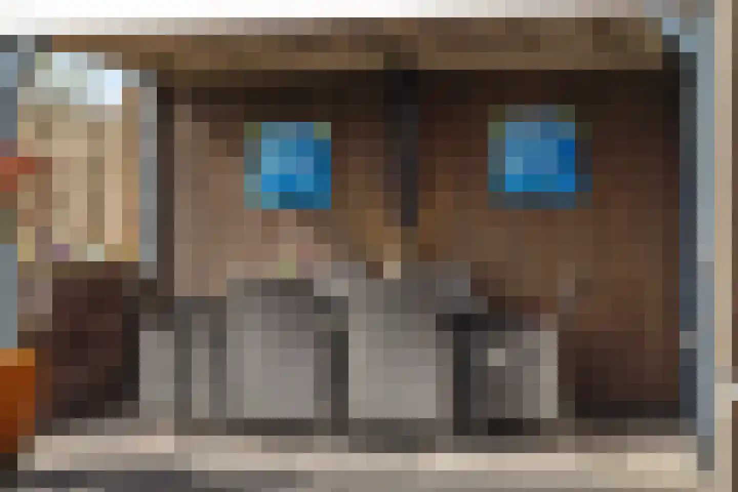 Heiveld 15 Rijsbergen thumbnail 51