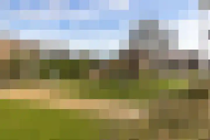 Heiveld 15 Rijsbergen thumbnail 55