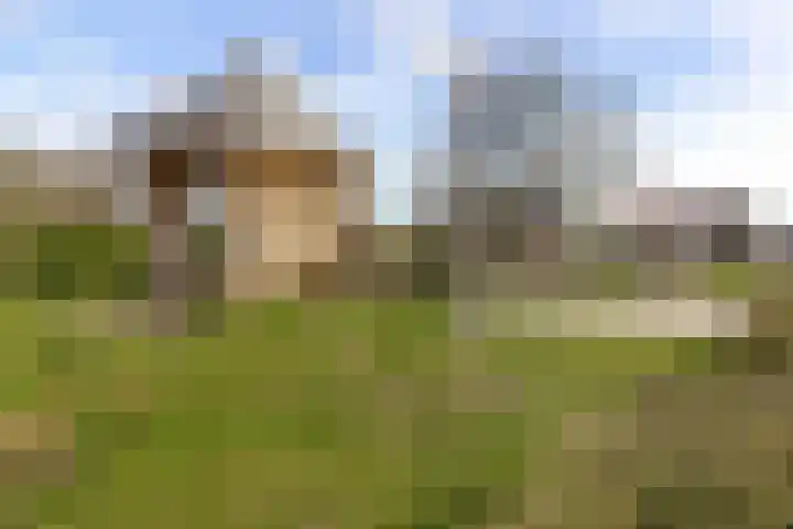 Heiveld 15 Rijsbergen thumbnail 56