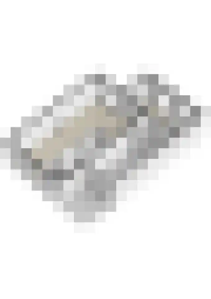 Heiveld 15 Rijsbergen thumbnail 58
