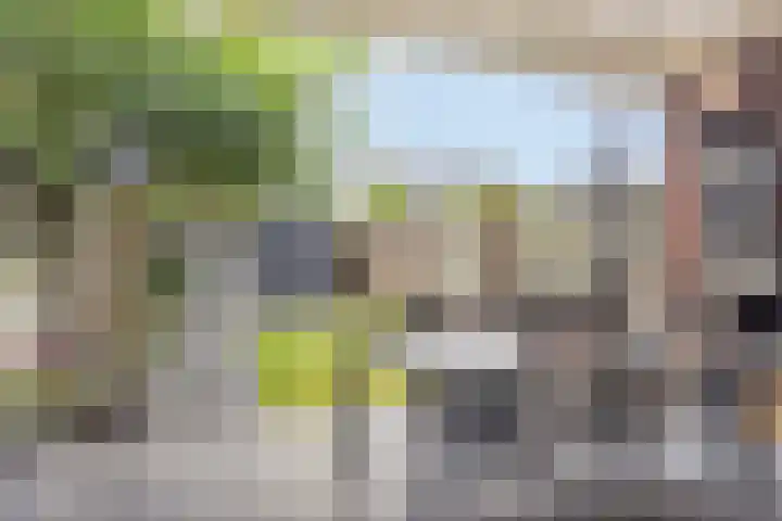 Heiveld 16 Vorstenbosch thumbnail 28