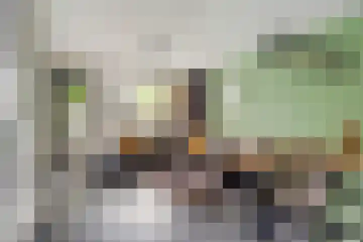 Heiveld 16 Vorstenbosch thumbnail 8