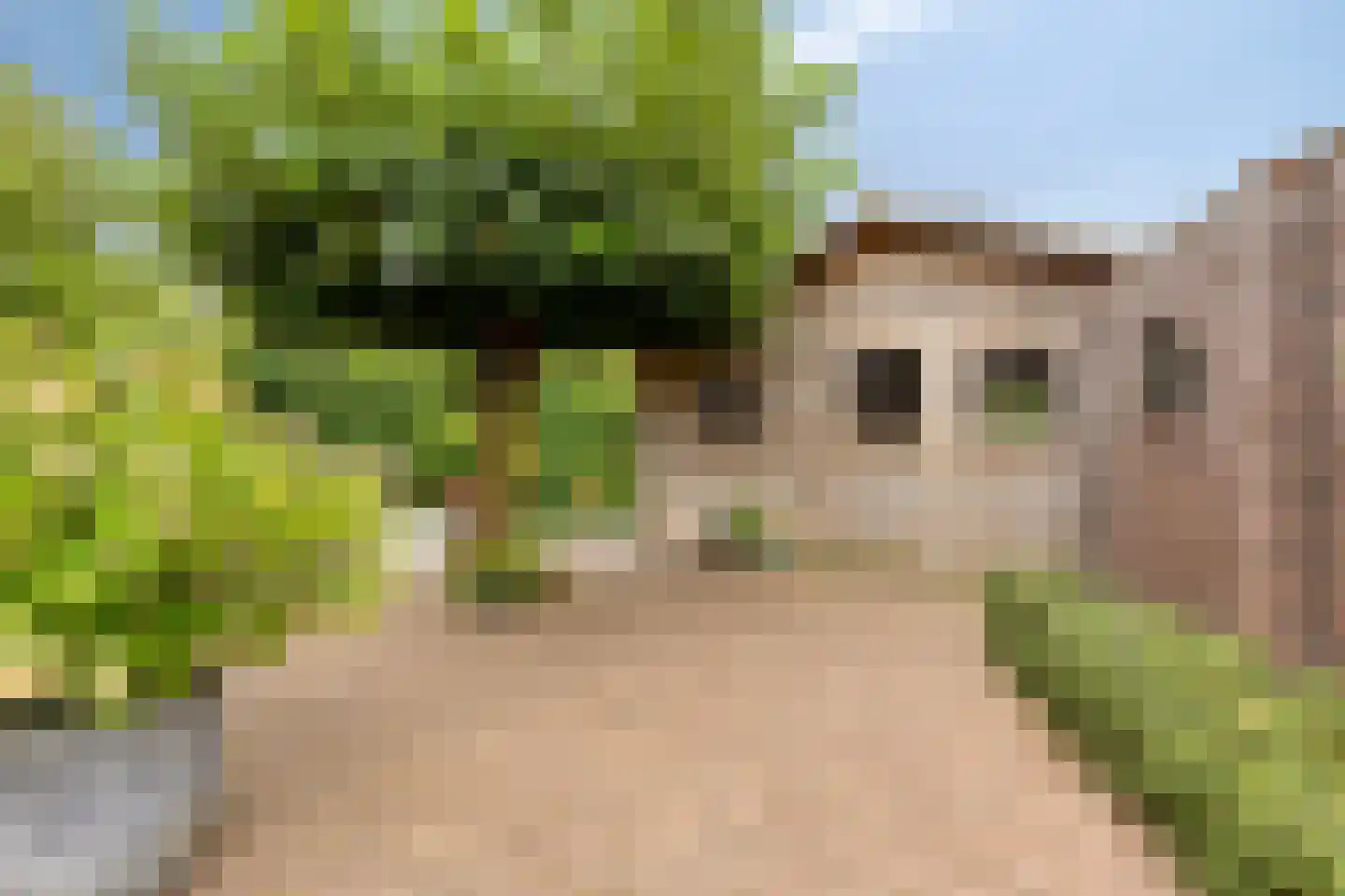 Heiveld 17 Milsbeek thumbnail 41