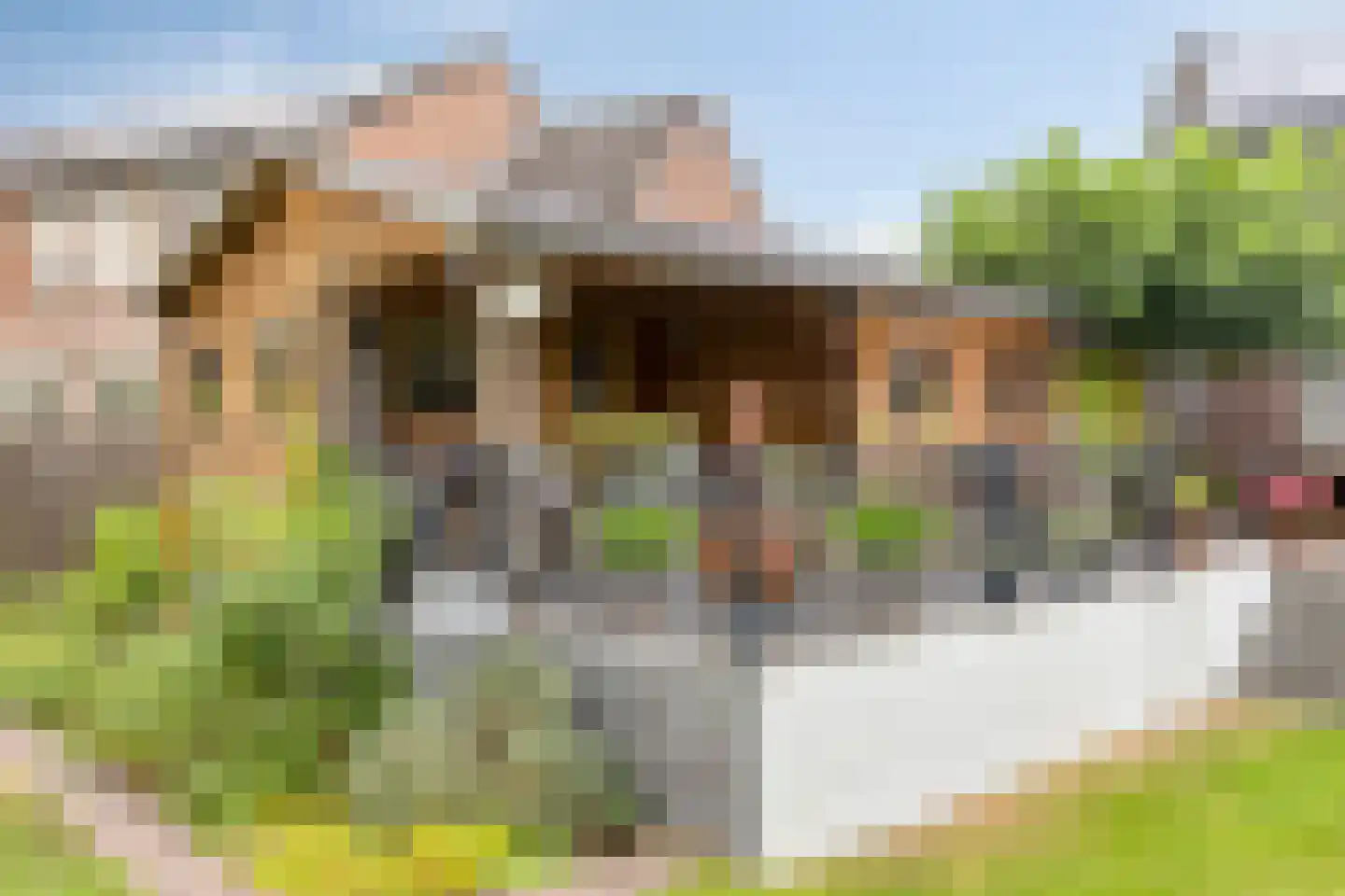 Heiveld 17 Milsbeek thumbnail 44
