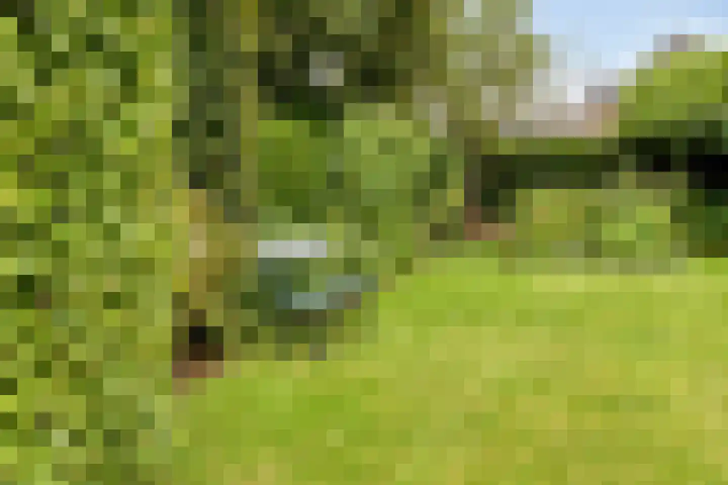 Heiveld 17 Milsbeek thumbnail 49