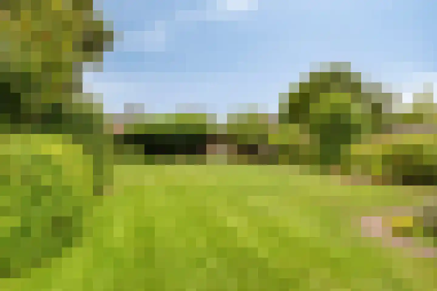 Heiveld 17 Milsbeek thumbnail 5