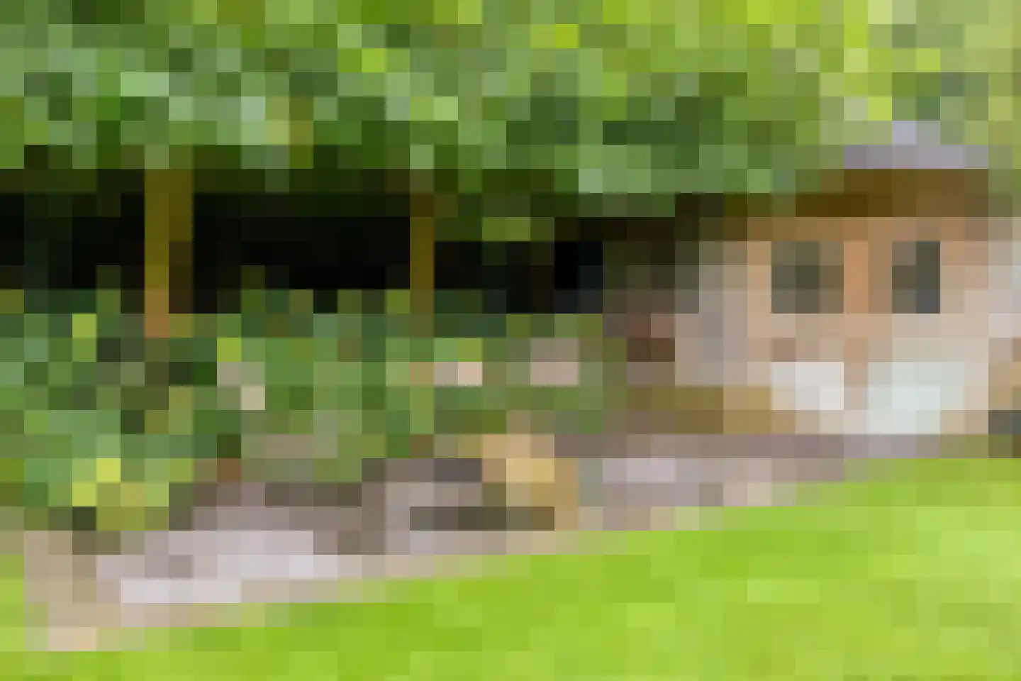 Heiveld 17 Milsbeek thumbnail 50