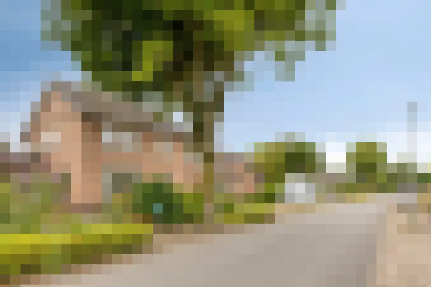 Heiveld 17 Milsbeek thumbnail 58