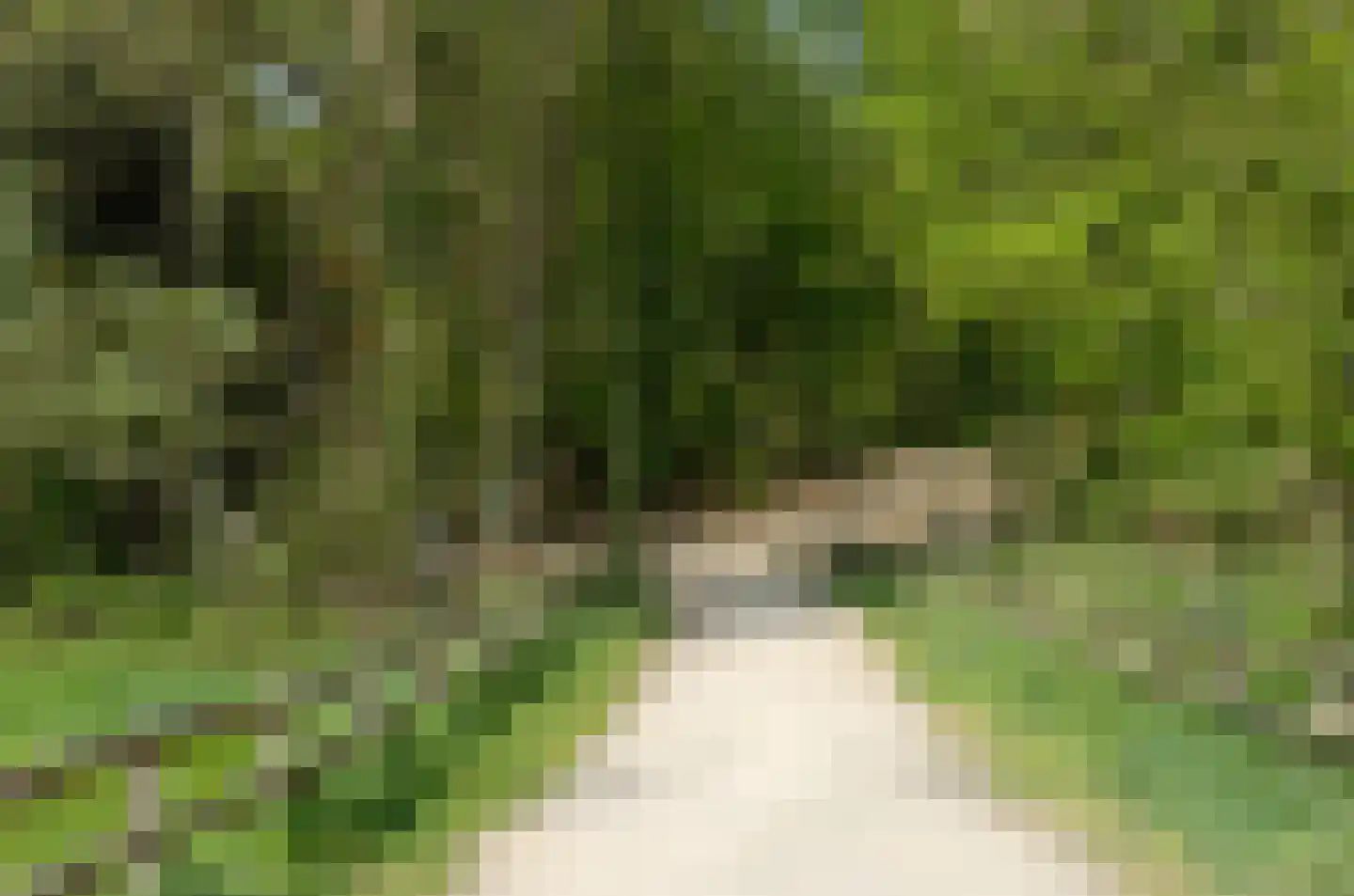 Heiveld 17 Milsbeek thumbnail 62