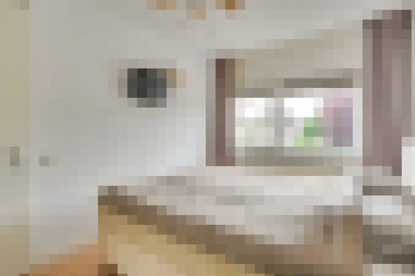 Heiveld 20 Vorstenbosch thumbnail 15