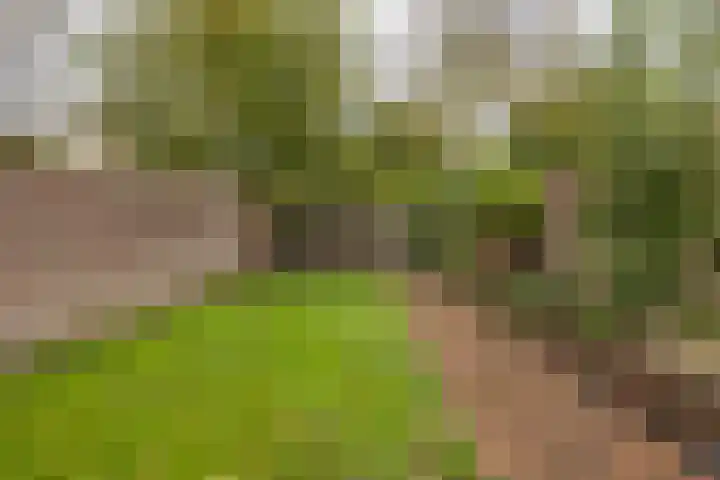 Heiveldplein 26 Kerkrade thumbnail 27