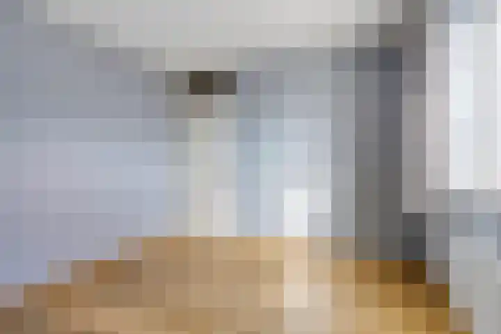 Heiveldplein 6 Maasbracht thumbnail 22