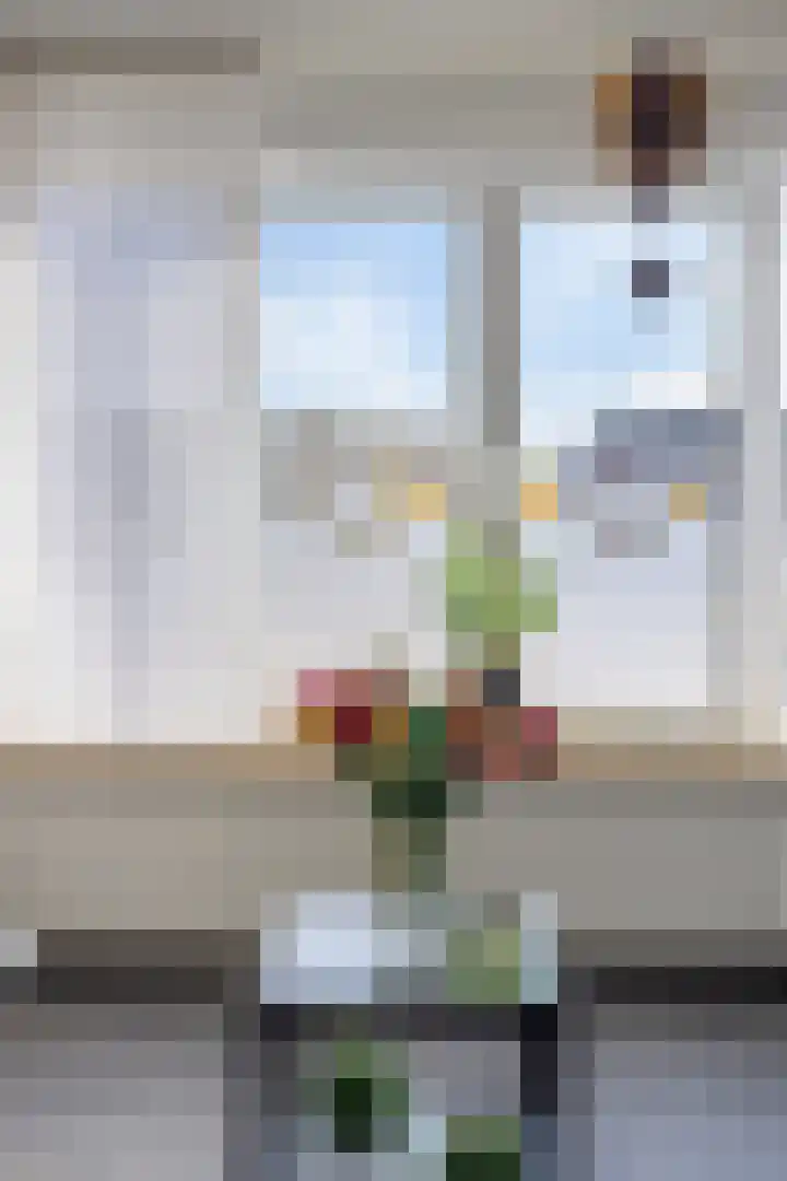 Heiveldplein 6 Maasbracht thumbnail 9