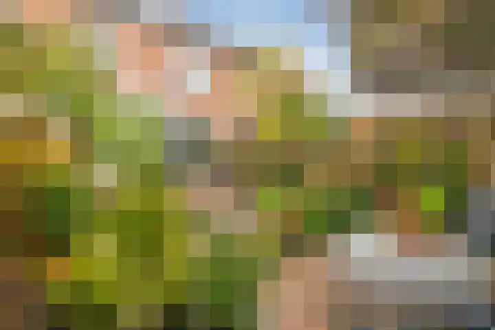 Heiveldstraat 15 Elsloo thumbnail 35