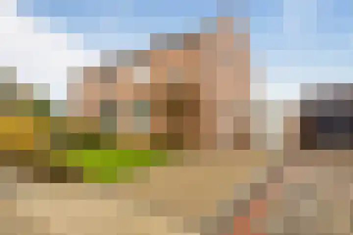 Heiveldstraat 15 Elsloo thumbnail 5