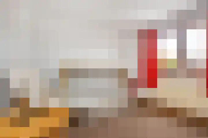 Heiveldstraat 23 Elsloo thumbnail 20