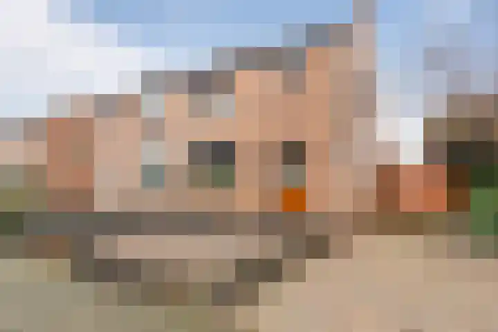 Heiveldstraat 23 Elsloo thumbnail 37