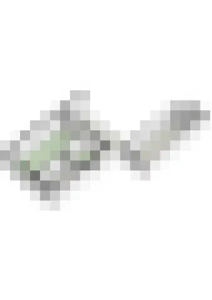 Heiveldstraat 23 Elsloo thumbnail 41
