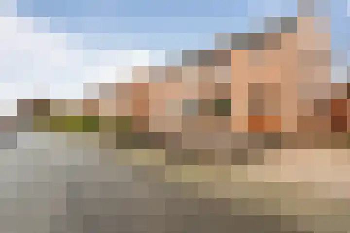 Heiveldstraat 23 Elsloo thumbnail 6