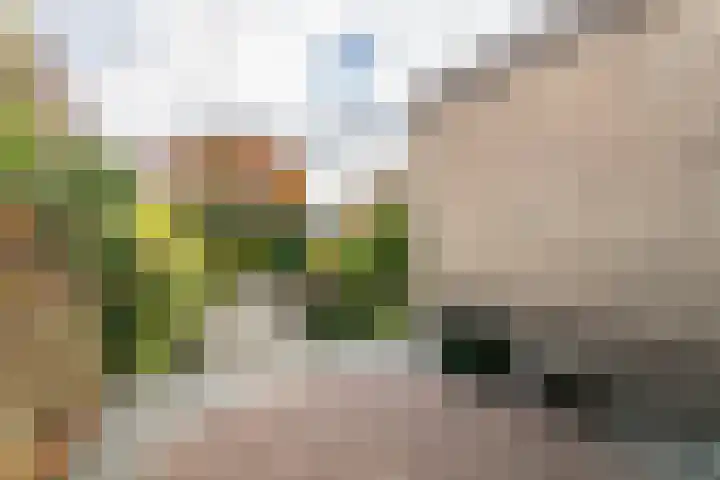 Heiveldstraat 43 Kerkrade thumbnail 28