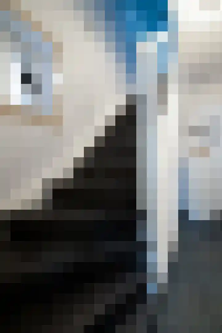 Heiveldstraat 78 Kerkrade thumbnail 16