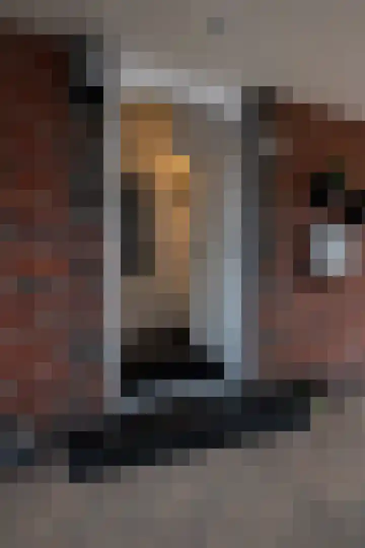 Heiveldstraat 78 Kerkrade thumbnail 4