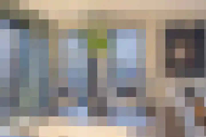 Heivlinder 2 Middelburg thumbnail 17