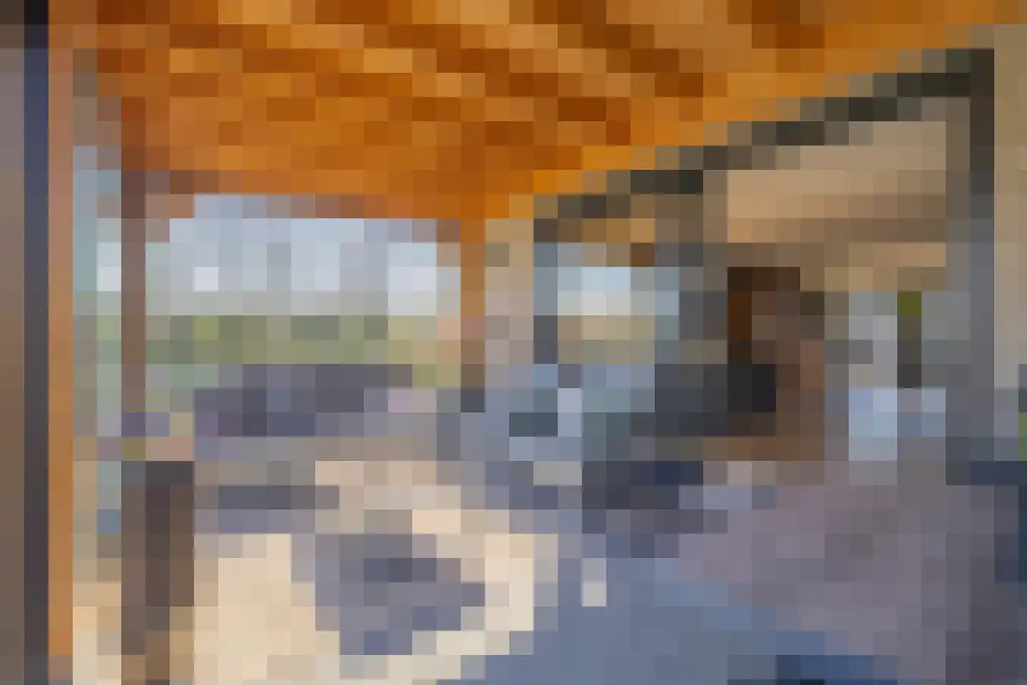 Heivlinder 2 Middelburg thumbnail 28