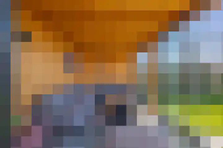 Heivlinder 2 Middelburg thumbnail 35