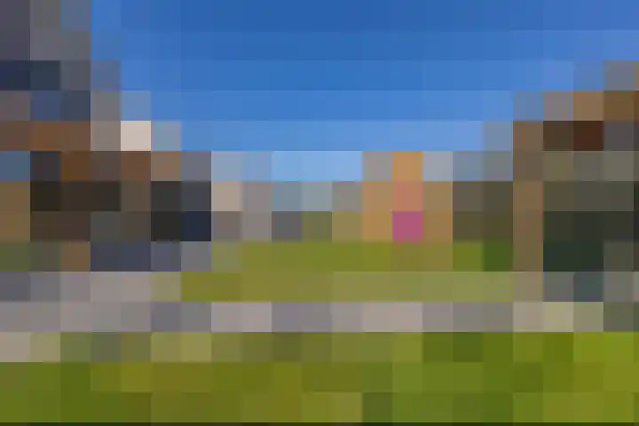 Heivlinder 2 Middelburg thumbnail 36