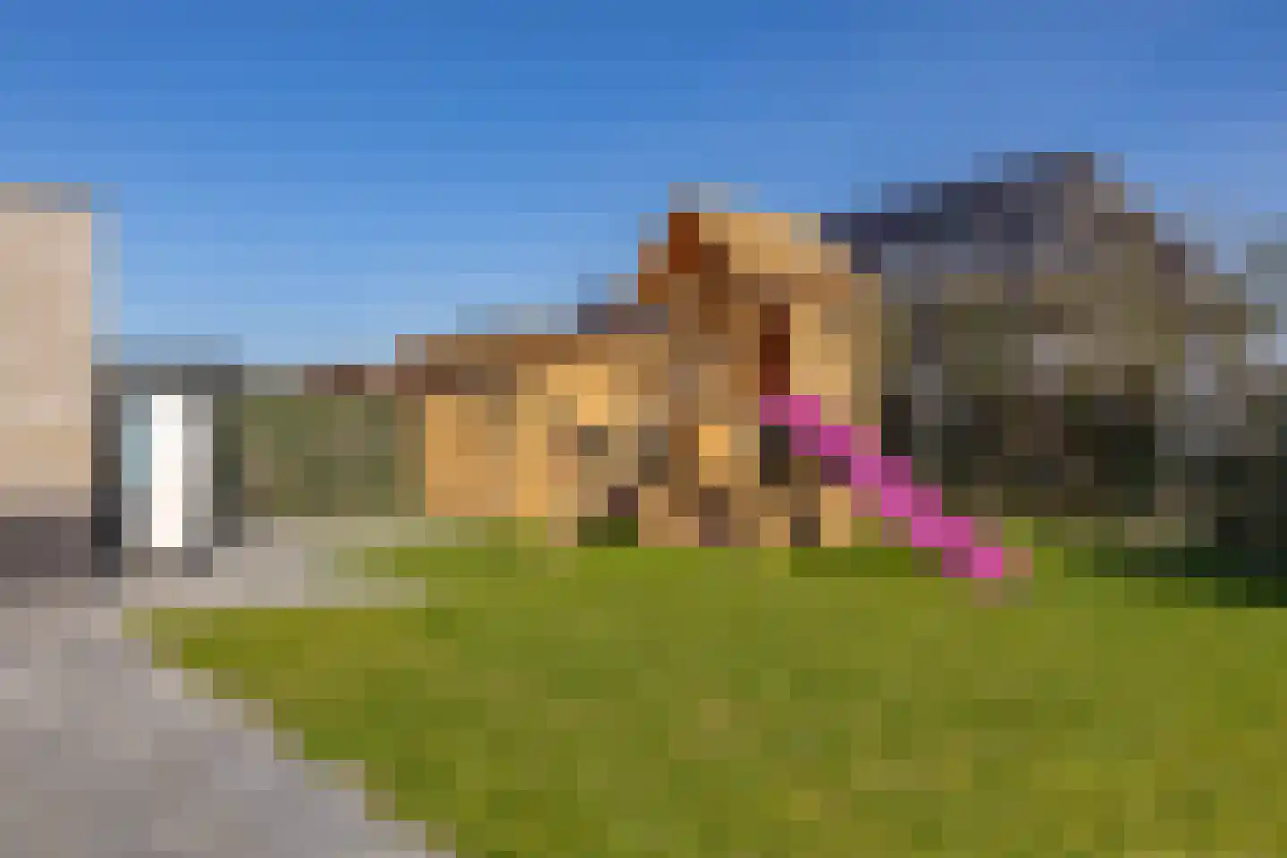 Heivlinder 2 Middelburg thumbnail 41