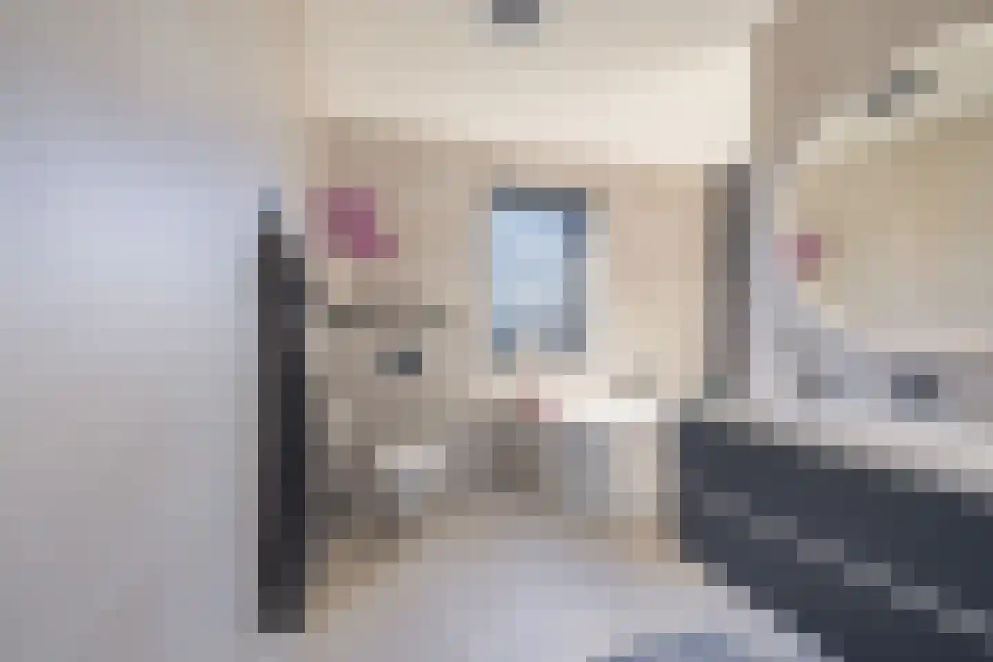 Heivlinder 2 Middelburg thumbnail 6