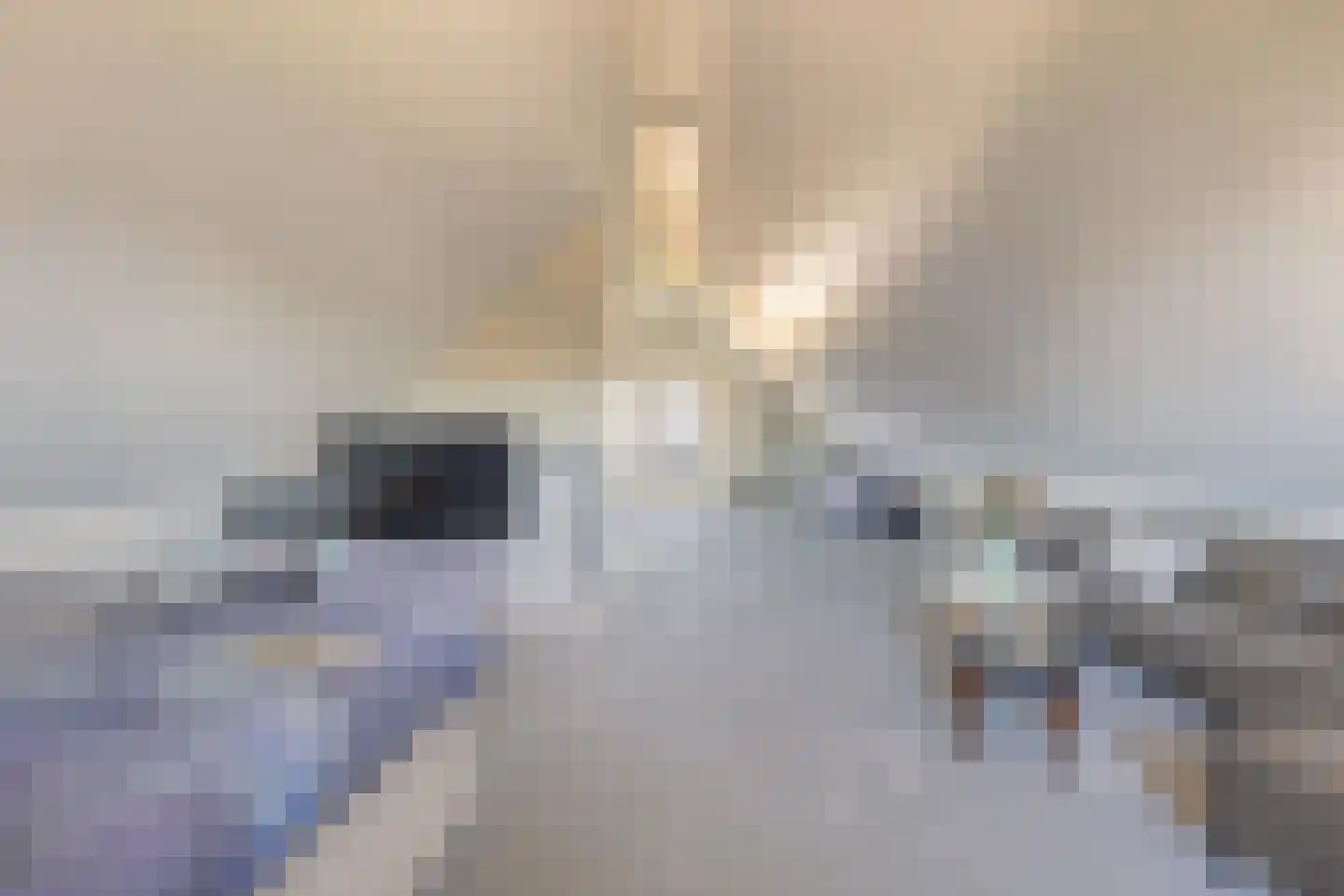 Heivlinder 2 Middelburg thumbnail 68