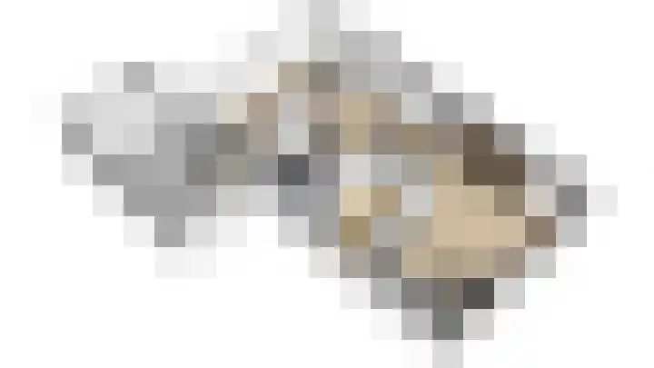 Heivlinder 2 Middelburg thumbnail 8