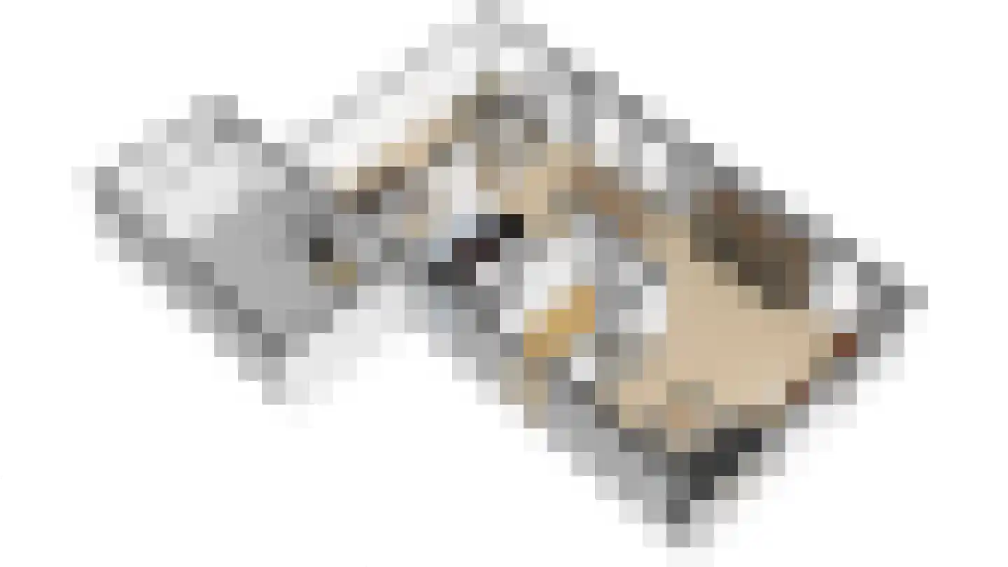 Heivlinder 2 Middelburg thumbnail 8