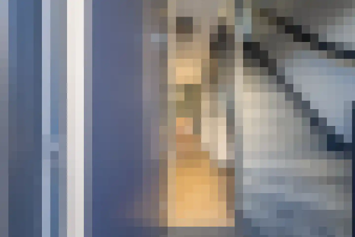 Heivlinder 2 Middelburg thumbnail 9