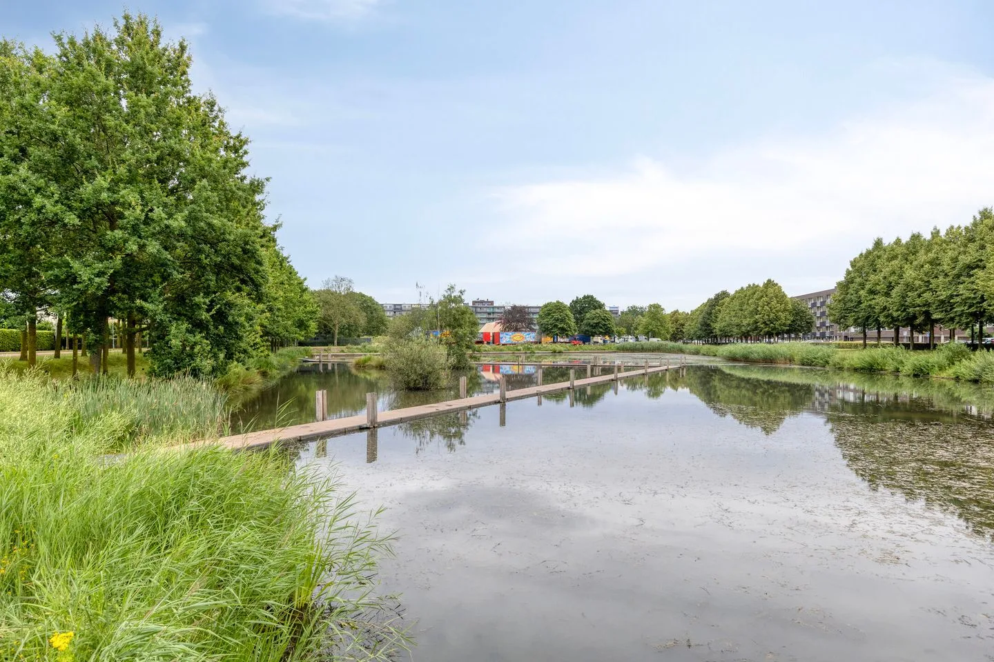 Heivlinder 23 Breda thumbnail 28