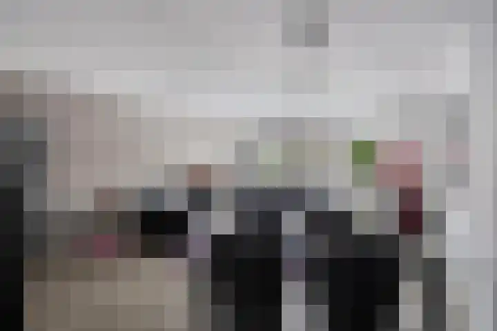 Heivlinder 24 Breda thumbnail 10